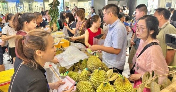 Lần đầu tiên có chuyến bay chở Sầu riêng Cần Thơ ra Hải Phòng tiêu thụ