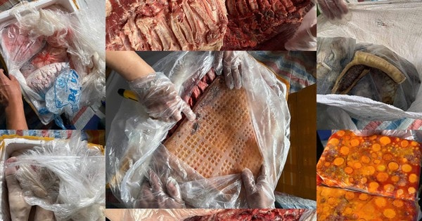 Hơn 20 tấn nội tạng, thịt động vật không rõ nguồn gốc bị bắt giữ tại Nam Định