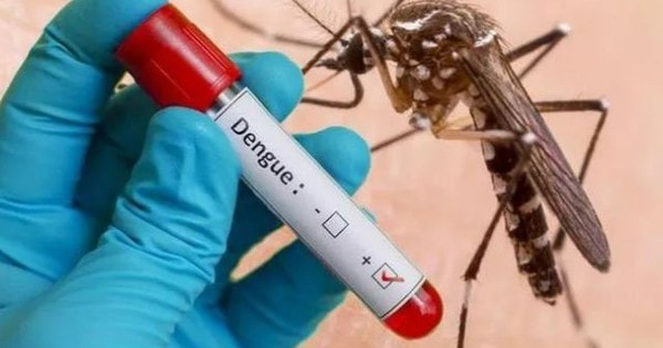 Bệnh sốt xuất huyết ngày càng khó lường