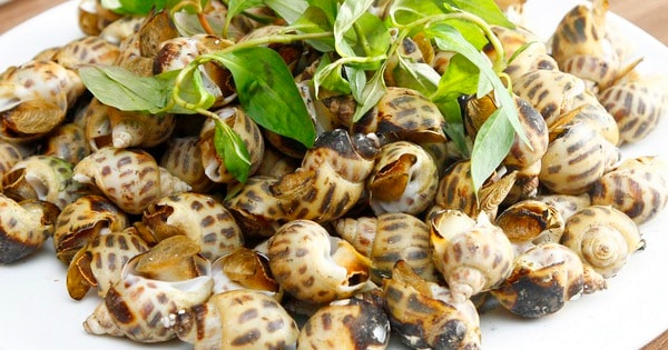 Cách nướng ốc hương bằng nồi chiên không dầu thơm ngon, càng ăn càng ghiền