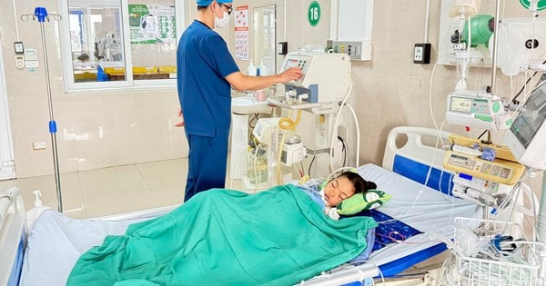 Ngủ một mình trong phòng, bé 7 tuổi ở Ninh Bình bị rắn cạp nia cắn nguy kịch