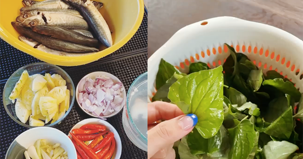 Loại rau dân dã ăn cùng cá kho giúp tiêu mỡ máu, hỗ trợ thải độc cực mạnh