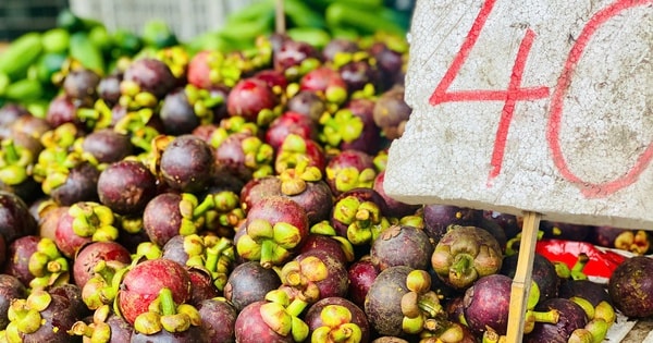 Măng cụt vào mùa giá 'siêu hời', tiểu thương chia sẻ cách loại bỏ quả hỏng, tránh lãng phí