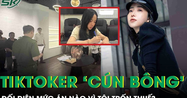 Vướng vòng lao lý vì trốn thuế, TikToker 'Cún Bông' đối diện mức án nào?