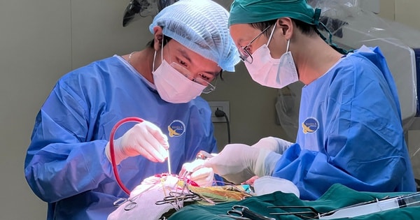 Người phụ nữ 48 tuổi phát hiện u não to như quả quýt từ dấu hiệu nhiều người Việt bỏ qua