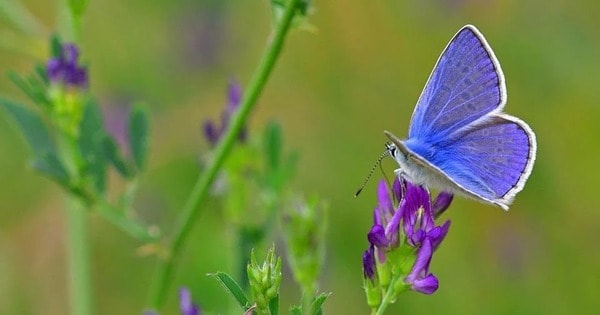 Người có ngày sinh Âm lịch kết thúc bằng 4 số này, nghèo khó chỉ là tạm thời, vận may đổ về từ nửa đời sau