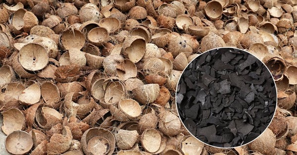 Thứ bỏ đi từ trái dừa thành "mỏ vàng", Việt Nam kiếm hàng chục triệu đô: Thế giới đổ xô đặt hàng