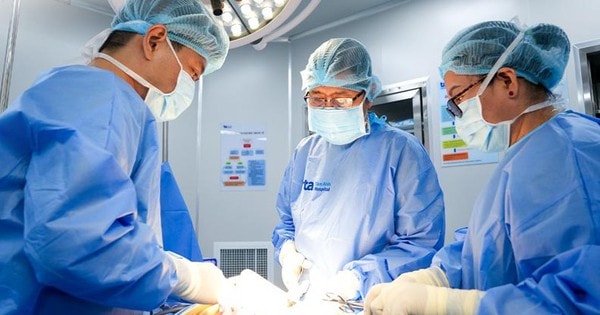 Người phụ nữ 44 tuổi có 15 khối u xơ kết thành chùm trong tử cung, thừa nhận 1 sai lầm nhiều chị em Việt mắc phải