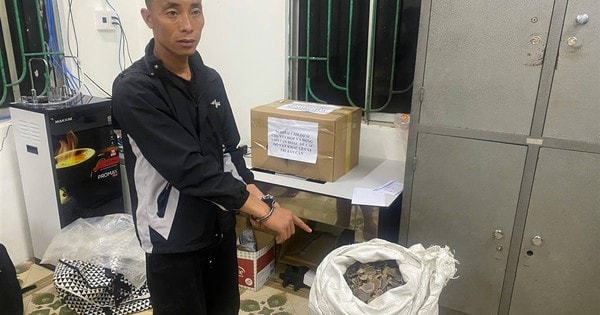 Bắt giữ đối tượng vận chuyển vảy tê tê cùng ma túy