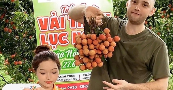 Vải thiều dội chợ rớt giá, đưa lên livestream lại "cháy hàng"