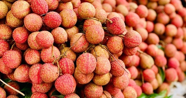 Vải thiều ‘đại hạ giá’ chỉ vài nghìn đồng/kg bán tràn ngập thị trường