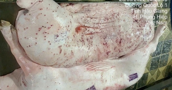 Vụ Công ty C.P Việt Nam bị tố: Làm rõ 'động cơ phát tán hình ảnh'