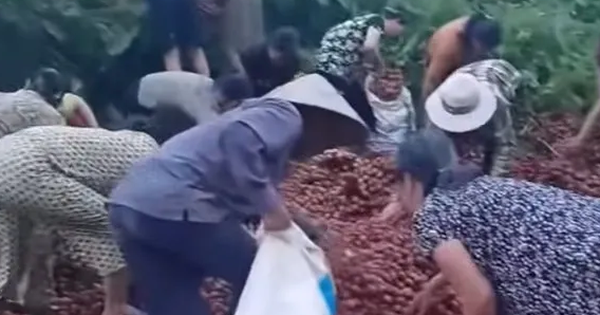 Vụ ô tô chở vải bị lật: Chủ xe nhận được khoảng hơn 40 triệu đồng giúp đỡ từ cộng đồng