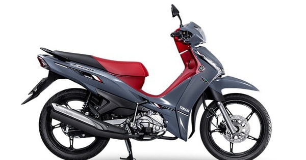 Xe số 115cc giá 29 triệu đồng thiết kế cực đẹp, xịn ngang Future, rẻ như RSX, Wave Alpha