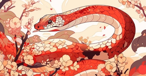 Tử vi tháng 6 âm lịch 2025, con giáp tuổi Tý đón nhận những điều không ngờ từ sau ngày Rằm