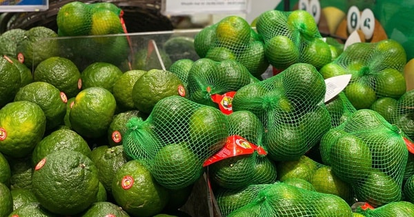 Loại quả ‘quốc dân’ giàu vitamin C bán đầy chợ Việt, giá chỉ hơn chục nghìn đồng/kg