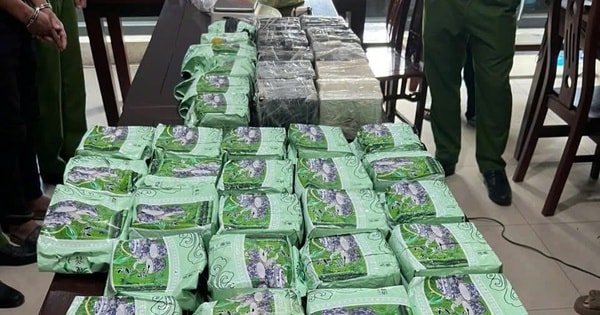 Nghệ An phá đường dây ma túy xuyên quốc gia, thu giữ 60 bánh heroin