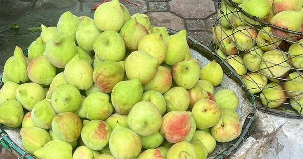 Tiểu thương tiết lộ sự thật về đào mỏ quạ đang được bán ngoài chợ