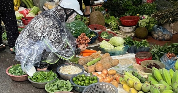 Người dân Hà Nội mua thực phẩm trước bão số 3