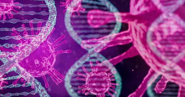 Phát hiện mới về virus bạch cầu và tiềm năng điều trị HIV