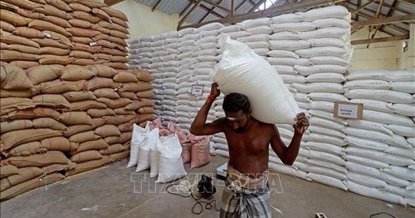 Thị trường nông sản: Nguồn cung kỷ lục, giá gạo thế giới rơi về mức đáy 8 năm