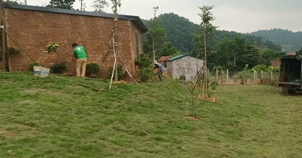 Vi phạm quản lý khiến hơn 610.000m2 đất rừng tại Sóc Sơn, Hà Nội bị chuyển nhượng trái phép