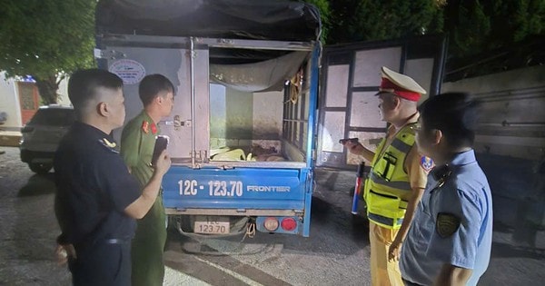 Cao điểm dịch tả lợn châu Phi, tiểu thương lén lút tiêu thụ lợn hơi, thực phẩm đông lạnh giữa đêm