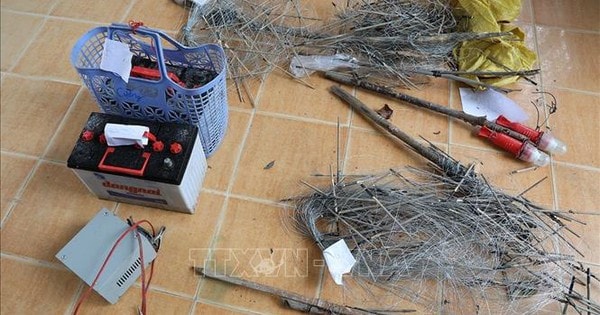 Tạm giữ hình sự hai đối tượng dùng điện bẫy chuột dẫn đến chết người