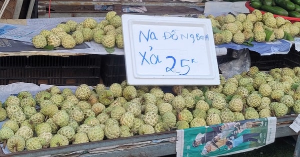 Na 'dởm' gắn mác Đồng Bành bán đầy chợ Việt, giá chỉ 20.000 đồng/kg