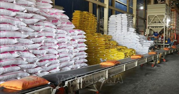 Gạo Việt hướng tới giá trị gia tăng và phát triển bền vững