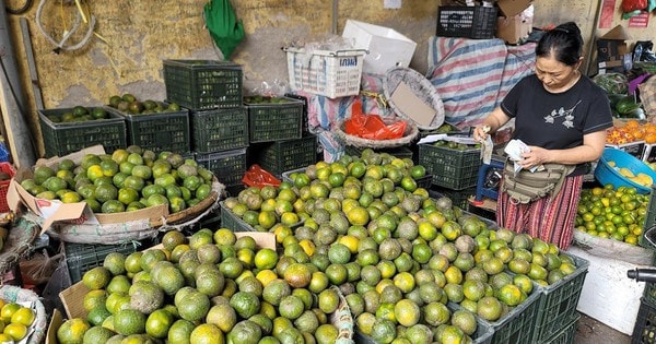 167 điểm kinh doanh tự phát làm xấu xí hình ảnh Thủ đô, nguyên nhân gì khiến 'chợ cóc' tồn tại dai dẳng?