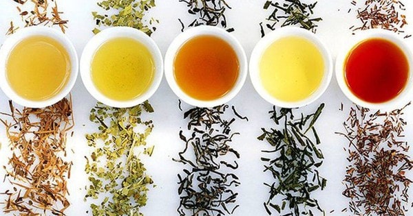 9 loại trà thuốc trị bệnh thường gặp