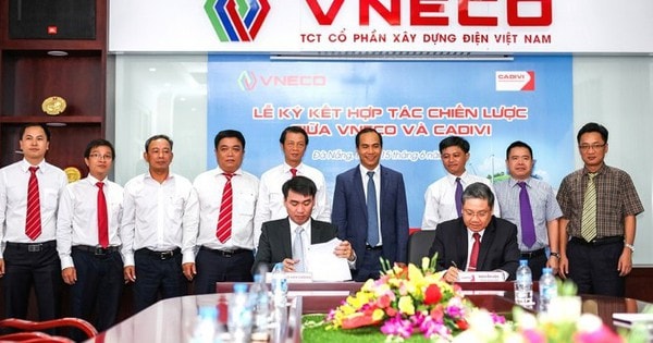 Cổ phiếu của VNECO đối diện nguy cơ hủy niêm yết