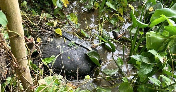 Nguyên nhân vụ sát hại bạn gái, cho thi thể vào bao tải phi tang

