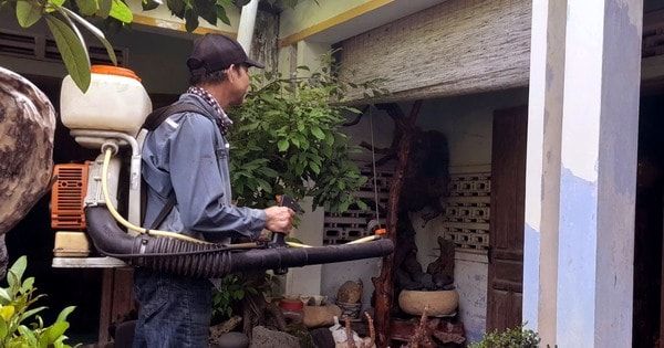 Khánh Hòa ghi nhận hơn 5.900 ca mắc sốt xuất huyết, 2 trường hợp tử vong