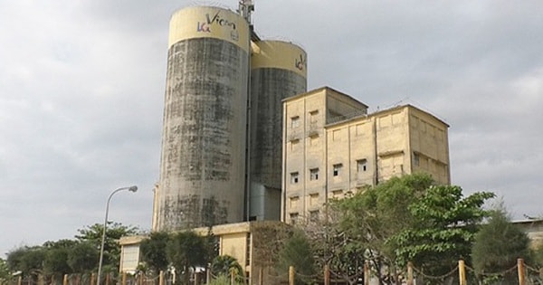 Xi măng Vicem Hải Vân bị nhắc nhở