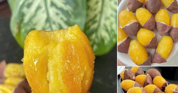 Loại khoai lang được gọi là 'sầu riêng' bán trăm nghìn một kg vẫn hút khách