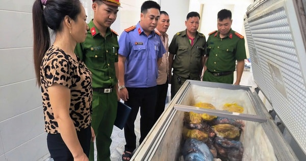 Nghệ An: Khởi tố đối tượng giết mổ, tiêu thụ thịt lợn nhiễm dịch tả châu Phi