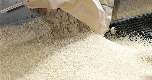 Thị trường nông sản: Giá gạo xuất khẩu và nội địa diễn biến trái chiều