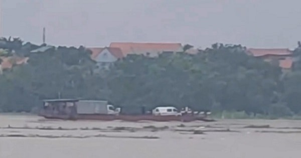 Chở khách qua sông khi nước lũ chảy mạnh, công ty vận tải đường thủy bị xử phạt