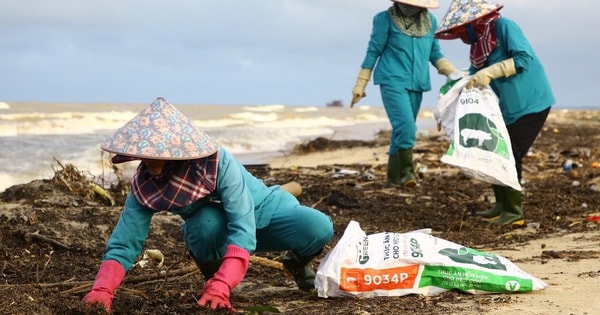 Bãi biển Nhật Lệ ngập rác sau mưa bão