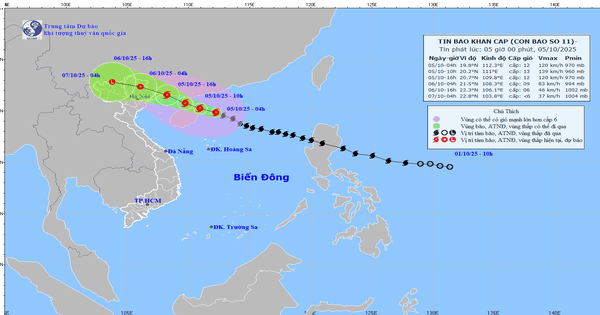 Bão Matmo đang tiến vào Vịnh Bắc Bộ, rạng sáng mai sẽ đổ bộ vùng biển Quảng Ninh - Hải Phòng