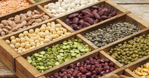 Lý do người bệnh gout cần hạn chế các loại đậu giàu purin