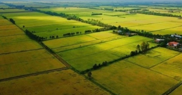 Đất dính quy hoạch có được tách thửa hay không?