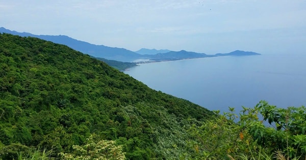 Huế lập khu bảo vệ cảnh quan bảo tồn động vật quý hiếm, đặc hữu