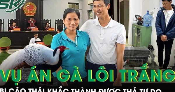 Toàn cảnh vụ án gà lôi trắng: Bị cáo Thái Khắc Thành được miễn trách nhiệm hình sự, trả tự do tại tòa