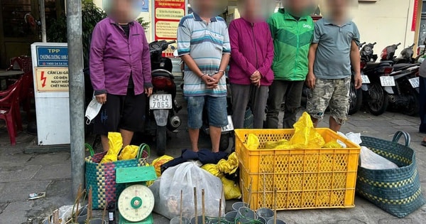 Bắt 15 đối tượng trong đường dây trộm cắp, mua bán chó mèo không rõ nguồn gốc tại TPHCM