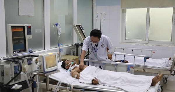 Mối nguy chết người từ rượu ngâm rễ cây rừng: Cảnh báo của bác sĩ