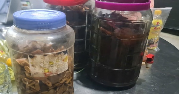 Sáu nạn nhân nghi ngộ độc rượu ở Nghệ An đã qua cơn nguy kịch, chuẩn bị xuất viện