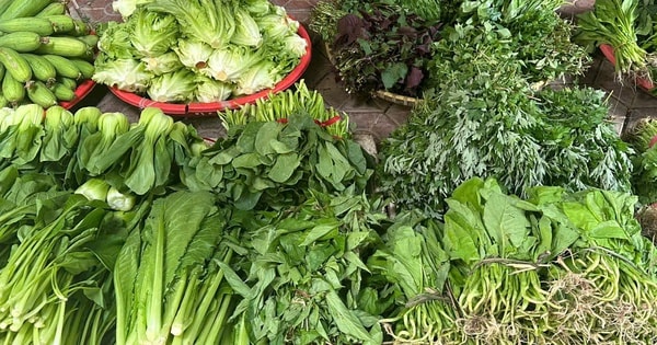 Ăn gì để vừa tiết kiệm vừa đủ vitamin khi rau xanh tăng giá mạnh?